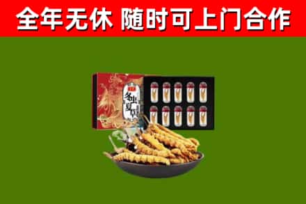 昌邑市回收冬虫夏草价格